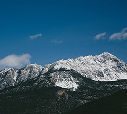 云呼叫中心系统